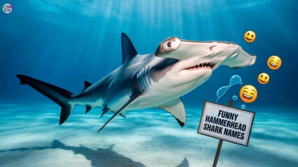 Funny Hammerhead Shark Names
