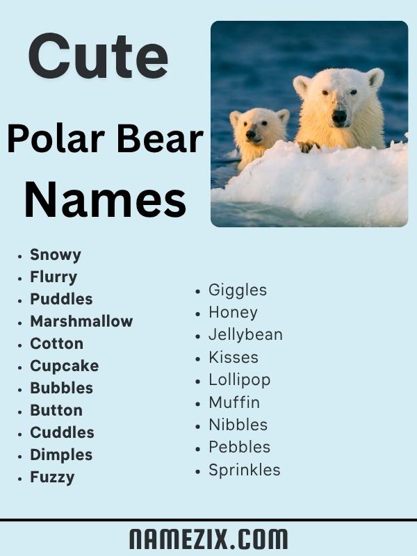Cute Polar Bear Names