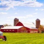 280+ Funny Farm Names That’ll Make You Laugh Out Loud