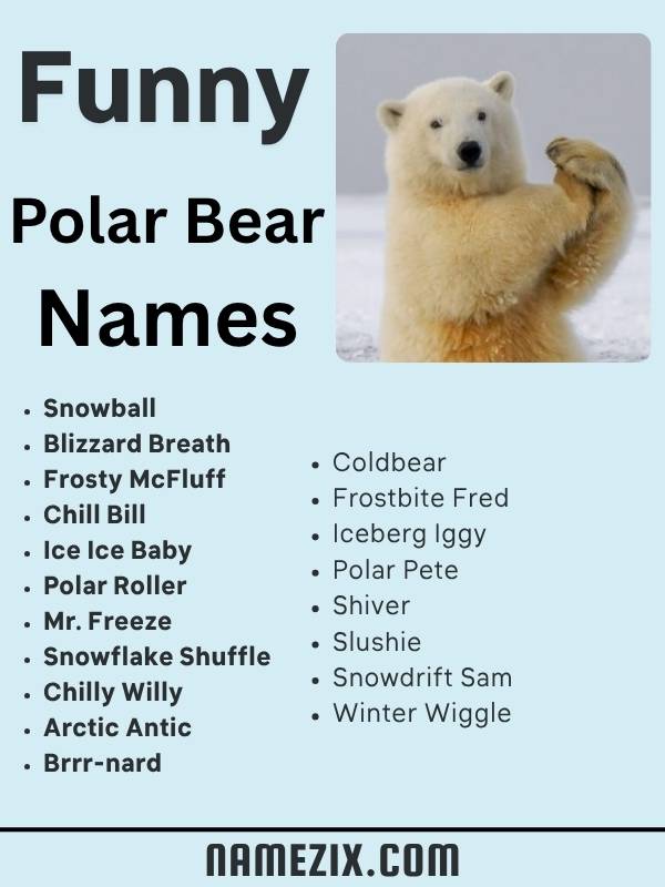 Funny Polar Bear Names
